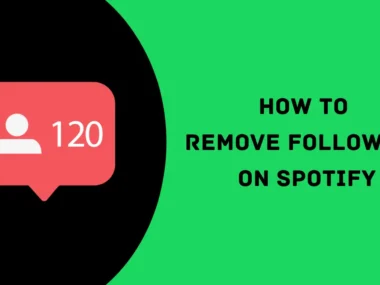 remove followers on spotify